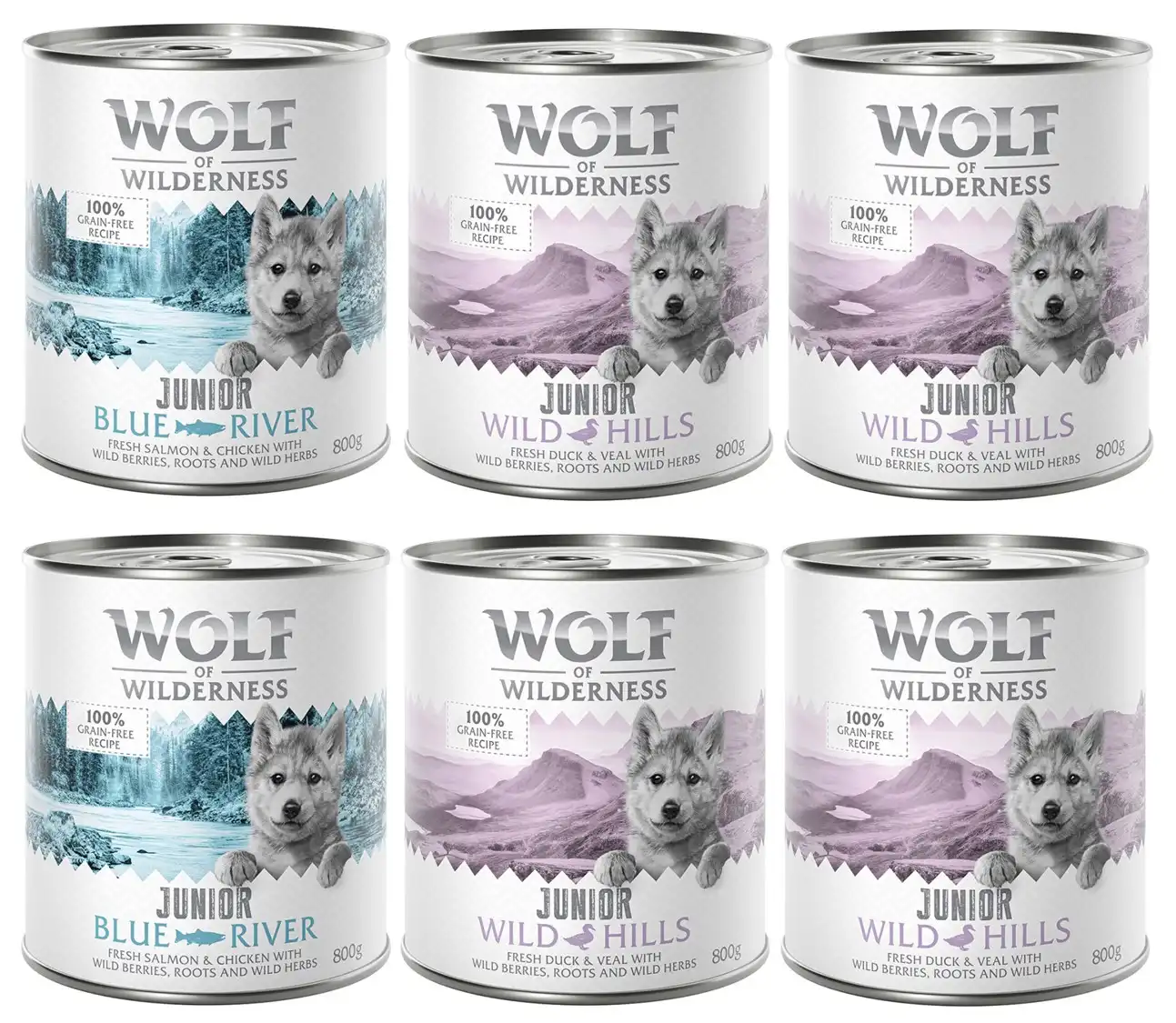 Wolf of Wilderness Junior 6 x 800 g - Pack mixto: 4x Pato y ternera, 2x Pollo y salmón