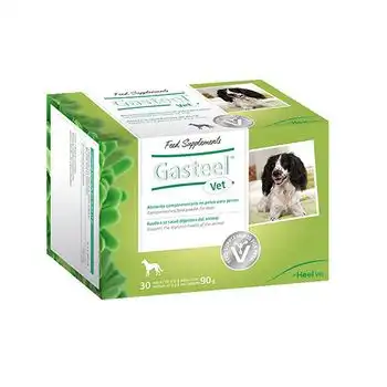 Heel Gasteel Vet Alimento Complementario Para Favorecer Las Digestiones Y La Salud Digestiva De Los Perros, Caja 30 Sobres X 3 Gr