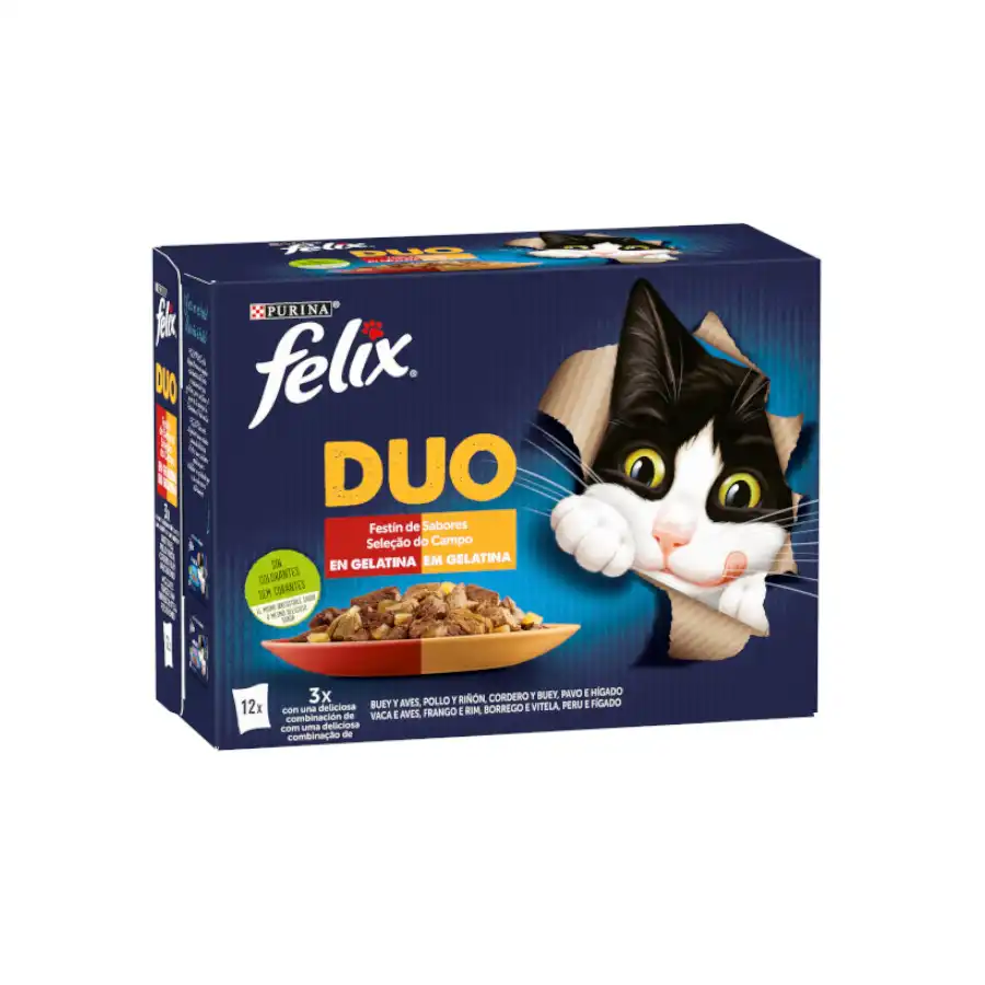 Felix Fantastic Duo Carne en Gelatina sobre - Multipack 4