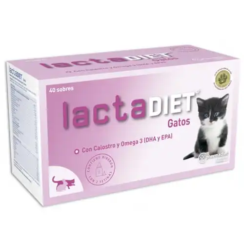 Pharmadiet Lactadiet Leche para gatitos