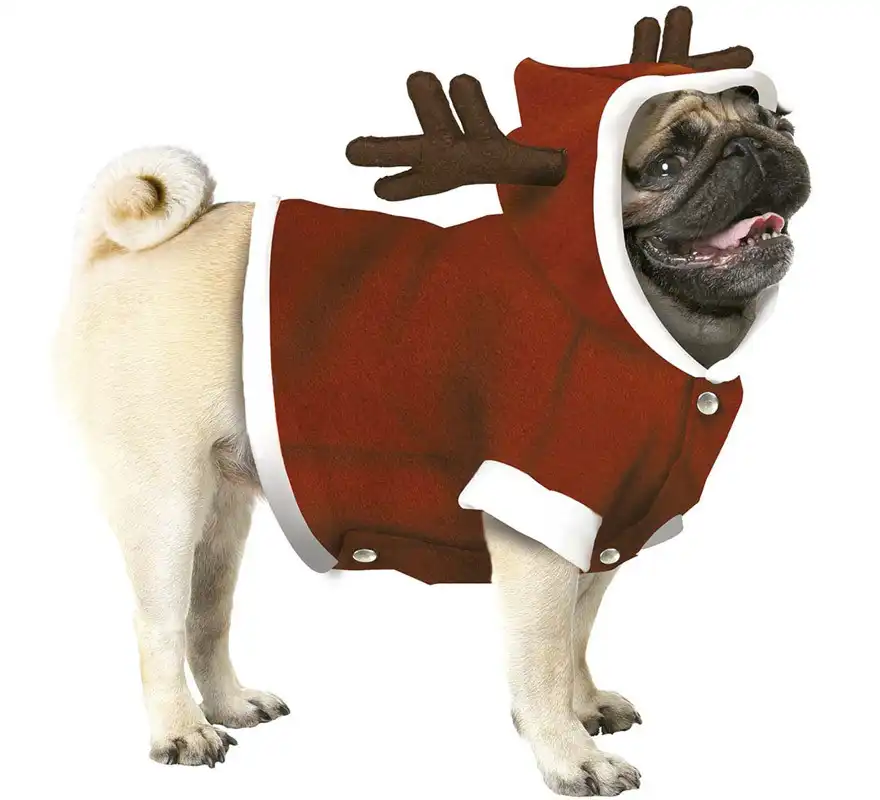 Disfraz de Reno de Papá Noel para perro