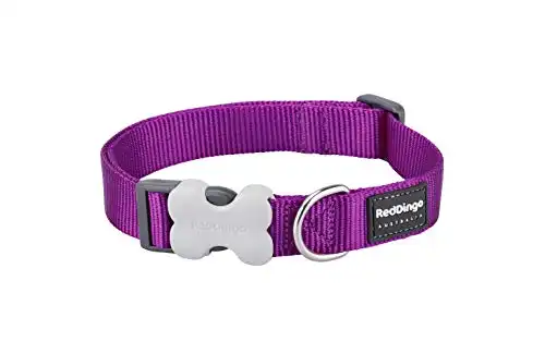 Collar Red Dingo para perros Classic Morado S
