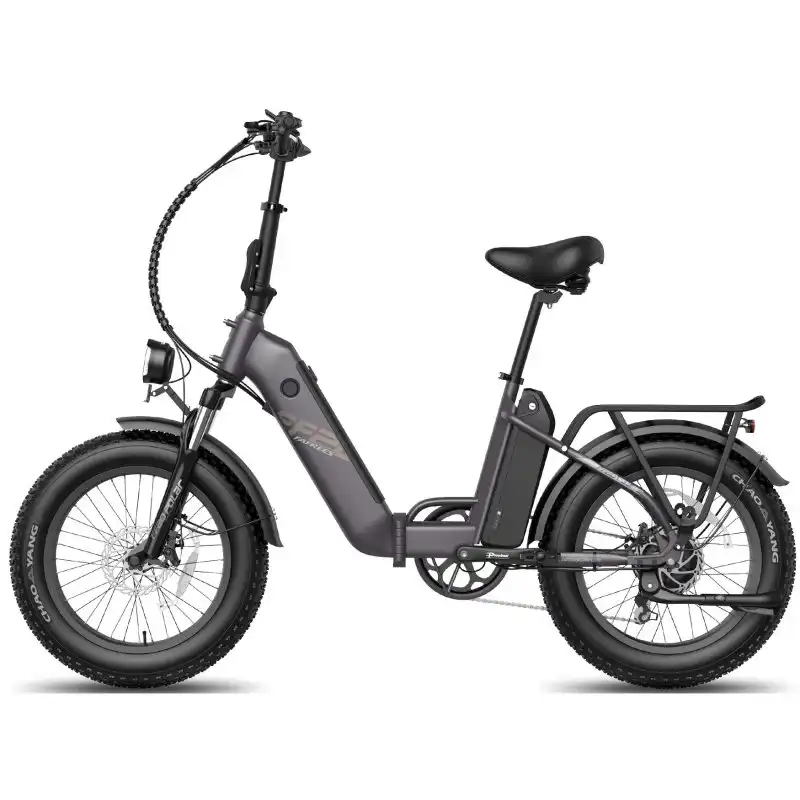 Fafrees FF20 Polar Bicicleta Eléctrica 500W Autonomía 110km con Frenos de Disco Negro