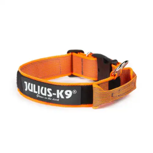 Julius K9 Collar Nylon Naranja para perros